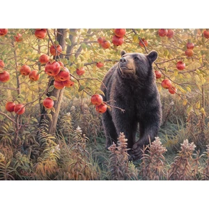 Cobble Hill 45054 - Den Dreams - 500 db-os puzzle
