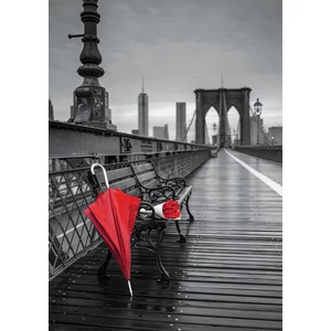Educa 17691 - Black & White - Piros esernyő, Brooklyn híd, New York - 1000 db-os puzzle