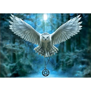 Educa 17959 - Varázslat, Anne Stokes - 500 db-os puzzle