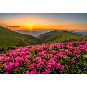 Enjoy Puzzle - 2063 - Pink Dusk - 1000 db-os puzzle