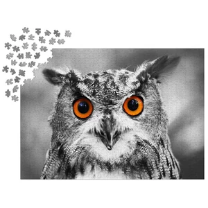 Enjoy Puzzle - 1626 - Curious Owl - 1000 db-os puzzle