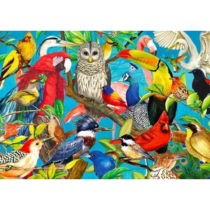 Enjoy Puzzle - 2032 - Feathered Fenzy - 1000 db-os puzzle