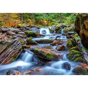 Enjoy Puzzle - 1281 - Forest Stream in Autumn - 1000 db-os puzzle