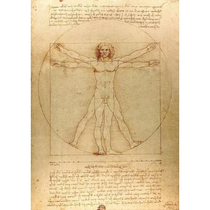 Enjoy Puzzle - 1557 - The Vitruvian Man - 1000 db-os puzzle