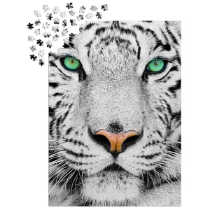 Enjoy Puzzle - 1257 - White Siberian Tiger - 1000 db-os puzzle