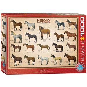 EuroGraphics 6000-0078 - Horses - 1000 db-os puzzle
