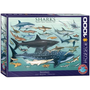 EuroGraphics 6000-0079 - Sharks - 1000 db-os puzzle