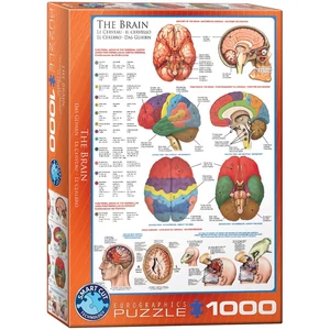 EuroGraphics 6000-0256 - The Brain - 1000 db-os puzzle
