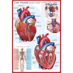 EuroGraphics 6000-0257 - The Heart - 1000 db-os puzzle