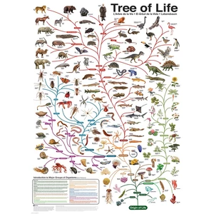 EuroGraphics 6000-0282 - The Tree of Life - 1000 db-os puzzle