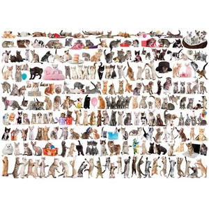 EuroGraphics 6000-0580 - The World of Cats - 1000 db-os puzzle