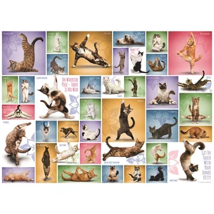 EuroGraphics 6000-0953 - Yoga Cats - 1000 db-os puzzle