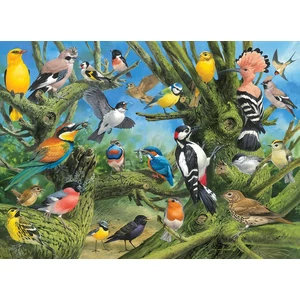 EuroGraphics 6000-0967 - Garden Birds, John Francis - 1000 db-os puzzle