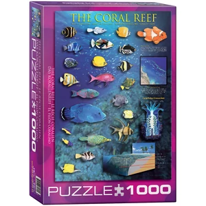 EuroGraphics 6000-1170 - The Coral Reef - 1000 db-os puzzle