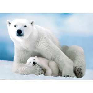 EuroGraphics 6000-1198 - Polar Bear & Baby - 1000 db-os puzzle