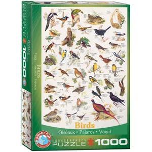 EuroGraphics 6000-1259 - Birds - 1000 db-os puzzle
