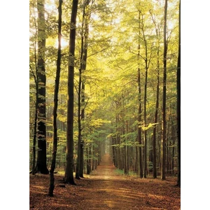 EuroGraphics 6000-3846 - Forest Path - 1000 db-os puzzle