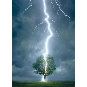 EuroGraphics 6000-4570 - Lightning Striking Tree - 1000 db-os puzzle