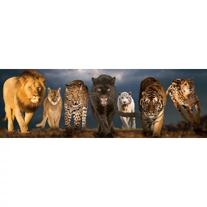 EuroGraphics 6010-0297 - Panoráma puzzle - Big Cats  - 1000 db-os puzzle
