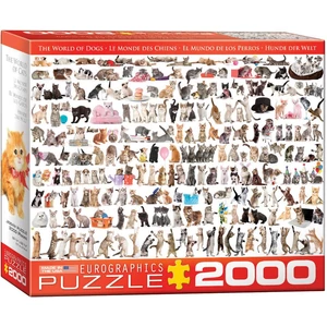 EuroGraphics 8220-0580 - The World of Cats - 2000 db-os puzzle