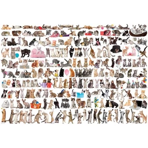 EuroGraphics 8220-0580 - The World of Cats - 2000 db-os puzzle