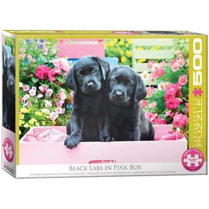 Eurographics 6500-5462 - Black Labs in Pink Box - 500 db-os puzzle
