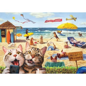 EuroGraphics 6500-5879 - No cats allowed by Lucia Heffe - 500 db-os puzzle