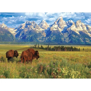 EuroGraphics 6000-5474 - Grand Teton National Park - 1000 db-os puzzle