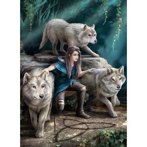 EuroGraphics 6000-5476 - The Power of Three, Anne Stokes - 1000 db-os puzzle