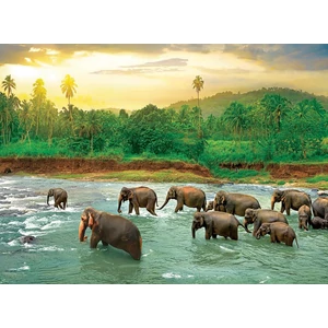 EuroGraphics 6000-5540 - Save the Planet! Animal Kingdom - 1000 db-os puzzle