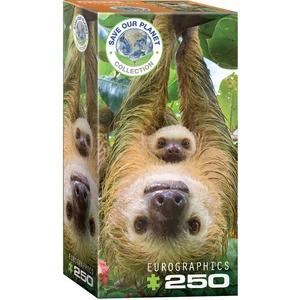 EuroGraphics 8251-5556 - Sloths - 250 db-os puzzle