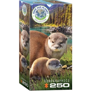 EuroGraphics 8251-5558 - Otters - 250 db-os puzzle