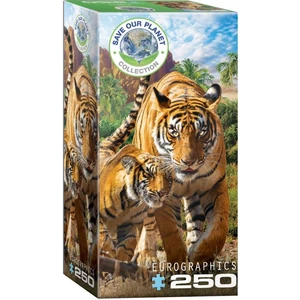 EuroGraphics 8251-5559 - Tigers - 250 db-os puzzle