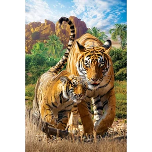 EuroGraphics 8251-5559 - Tigers - 250 db-os puzzle