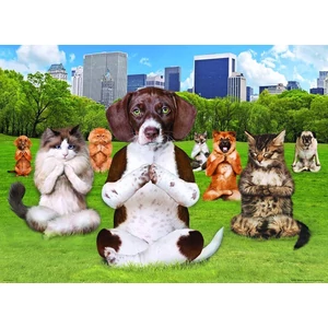 EuroGraphics 8300-5455 - Yoga Park - 300 db-os XL puzzle