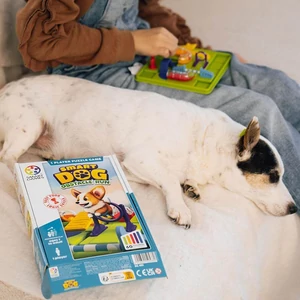 Smart Games - Smart Dog - Kutyaiskola logikai játék (526421)