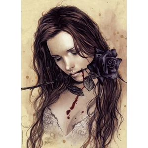 Heye 29430 - Favole, Dark Rose - Victoria Francés - 1000 db-os puzzle
