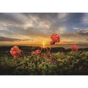 Heye 30016 - Cloudberries, Humboldt - 1000 db-os puzzle