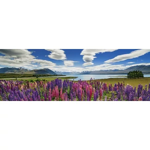 Heye 29902 - Panoráma puzzle - Lake Tekapo, Edition Humboldt - 1000 db-os puzzle