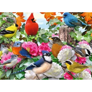 Ravensburger 14223 - Kerti madarak - 500 db-os puzzle