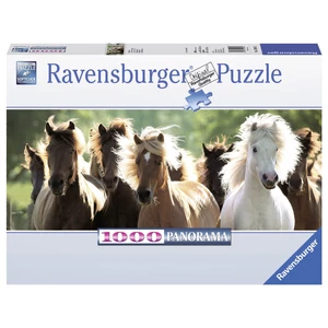 Ravensburger 15091 - Panoráma puzzle - Vadlovak - 1000 db-os puzzle