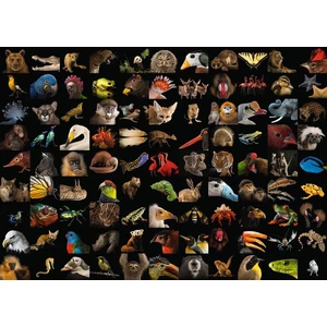 Ravensburger 15983 - National Geographic - 99 lenyűgöző állatfotó - 1000 db-os puzzle