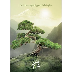 Ravensburger 19389 - Zen fa - 1000 db-os puzzle