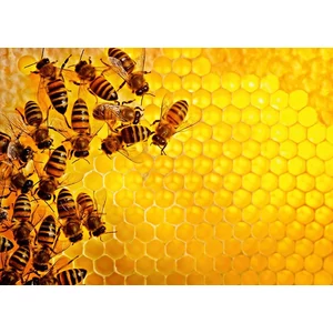 Ravensburger 17362 - Challenge - Bees - 1000 db-os puzzle