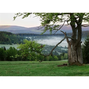 Ravensburger 16867 - Sumava - 1000 db-os puzzle