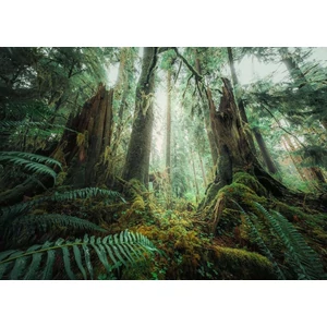 Ravensburger 12000292 - Power of Nature - Az erdőben - 1000 db-os puzzle