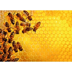 Ravensburger 12000614 - Challenge - Bees - 1000 db-os puzzle
