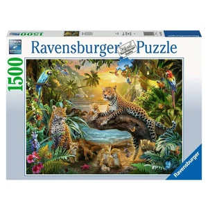 Ravensburger 17435 - A szavanna életre kel - 1500 db-os puzzle