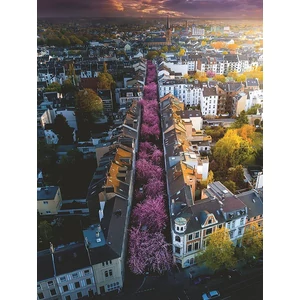 Ravensburger 17104 - Virágzó Bonn - 1500 db-os puzzle