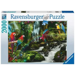 Ravensburger 17111 Színes papgájok a dzsungelben - 2000 db-os puzzle